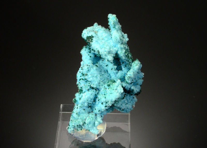 3007 Chrysocolla ps. azurite - Tenke-Fungurume area, Lualaba Prov., Dem. Rep. Congo.jpg