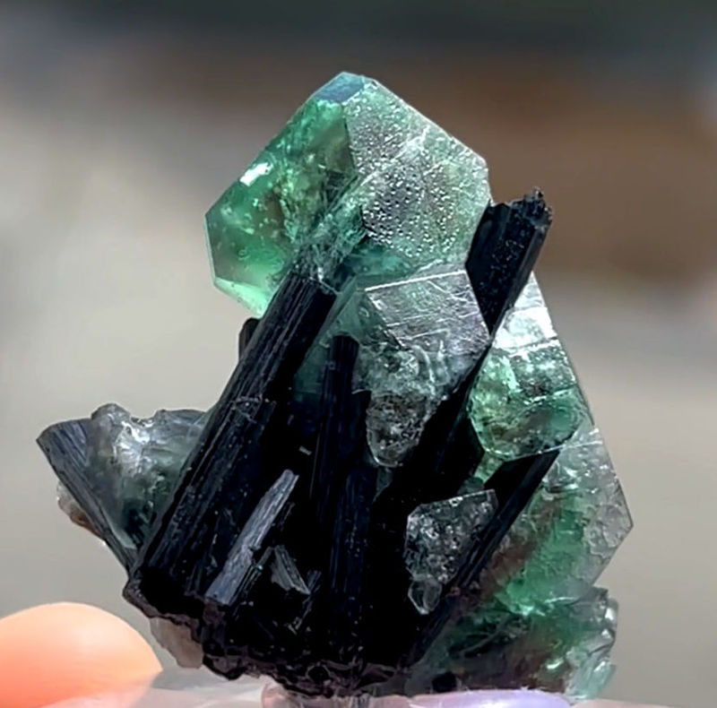 3196DV-fluorite3.jpg