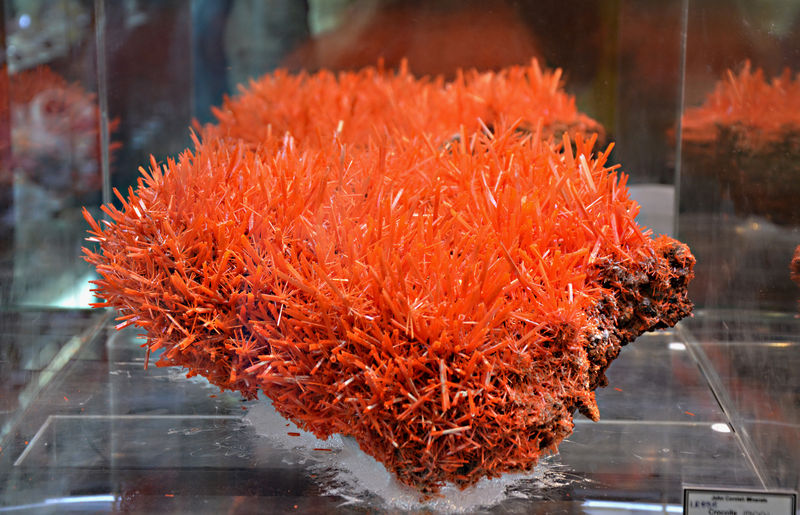 36 Crocoite - Adelaide Mine.jpg