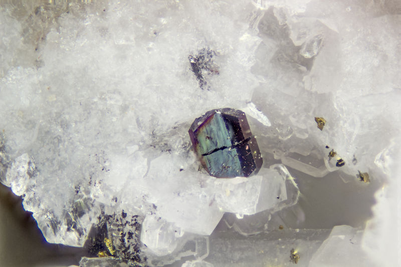 3994-columbite-(Fe).jpg