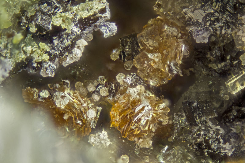 4006-labuntsovite-(Mn).jpg