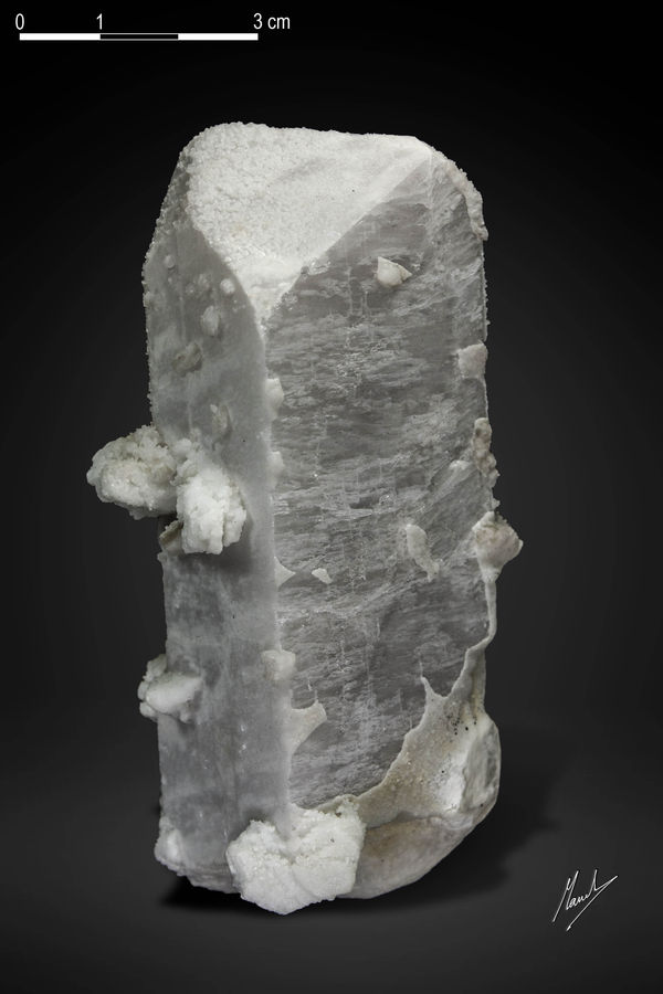 4025.jpg