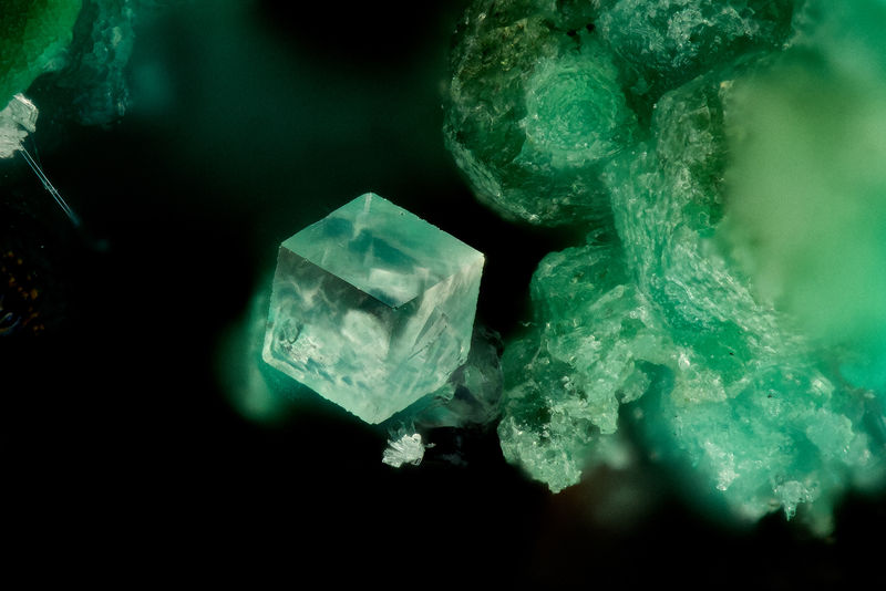 4440 fluorite.jpg