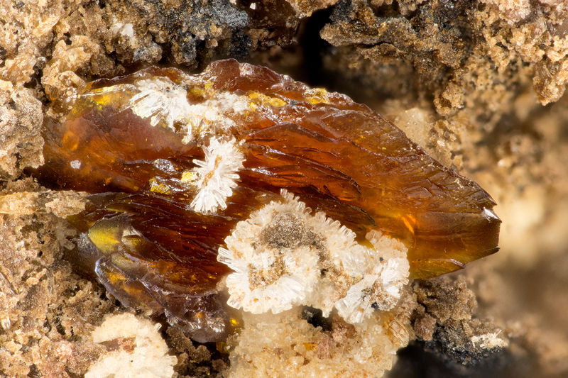 4516 descloizite.jpg