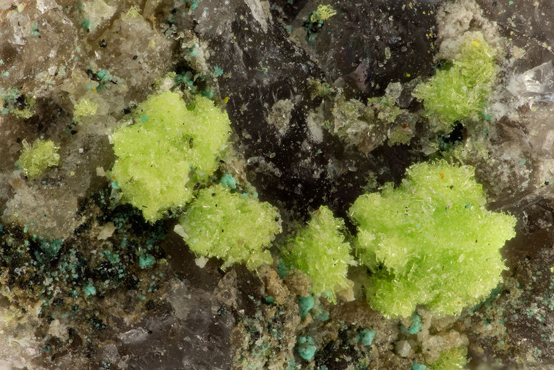 4566 pseudojohannite.jpg