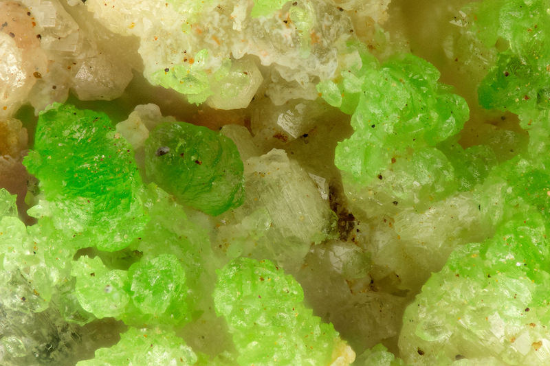 4584 conichalcite.jpg