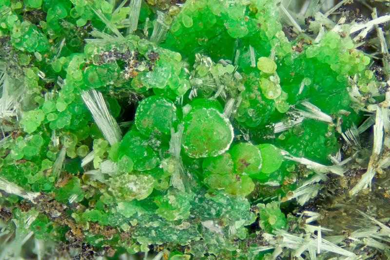 4622-conichalcite.jpg