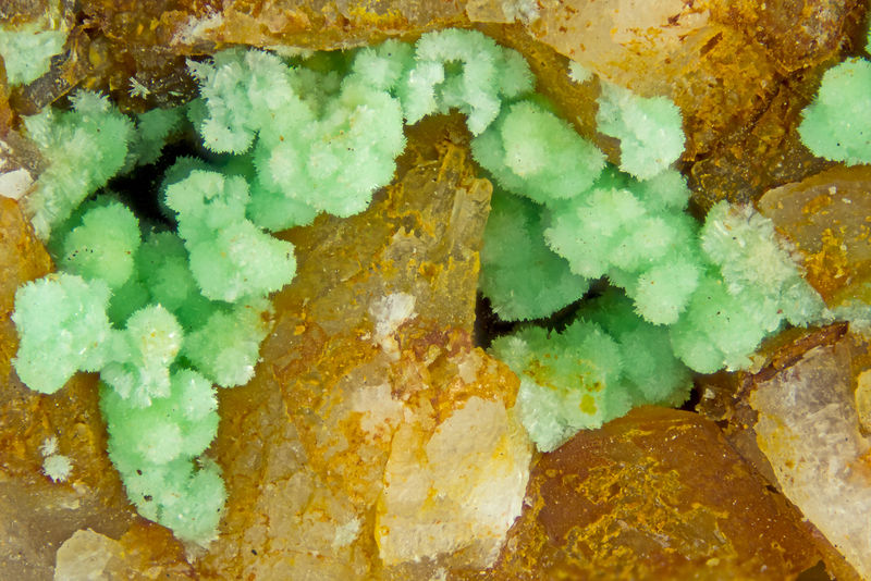 4624-annabergite.jpg