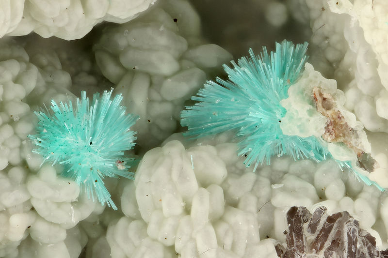 4691-agardite-(Y).jpg