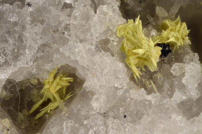 4703-ferrimolybdite.jpg