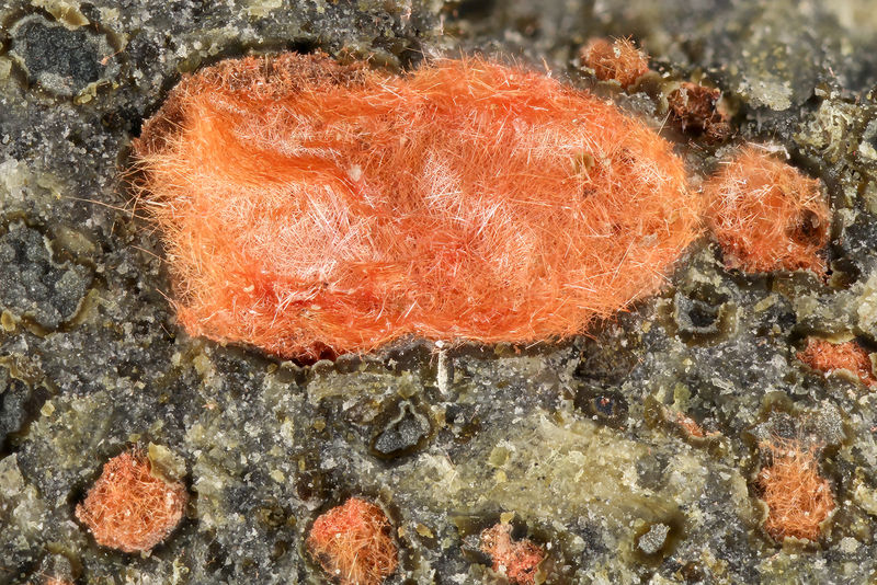 4704-cuprite.jpg