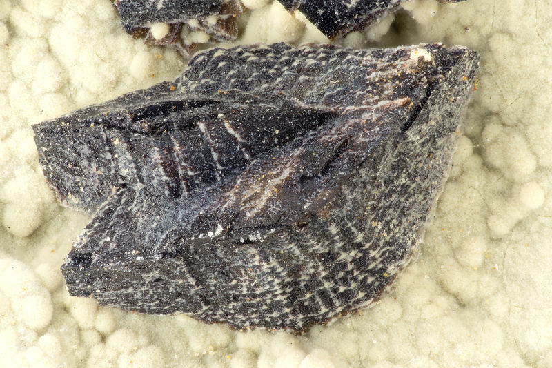 4746 siderite.jpg