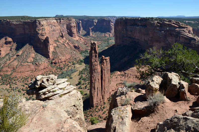 478 Spider Rock.JPG