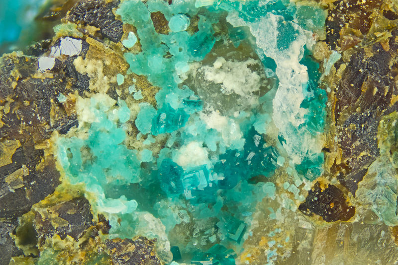 4825-ramsbeckite.jpg