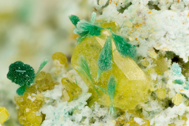 4900 wulfenite.jpg