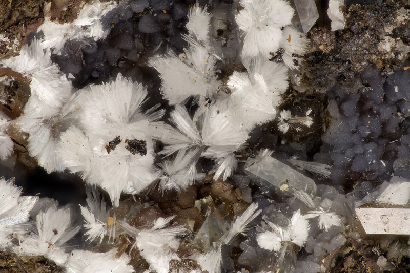 4927 hemimorphite.jpg