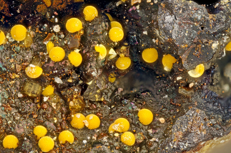 4988 cacoxenite.jpg