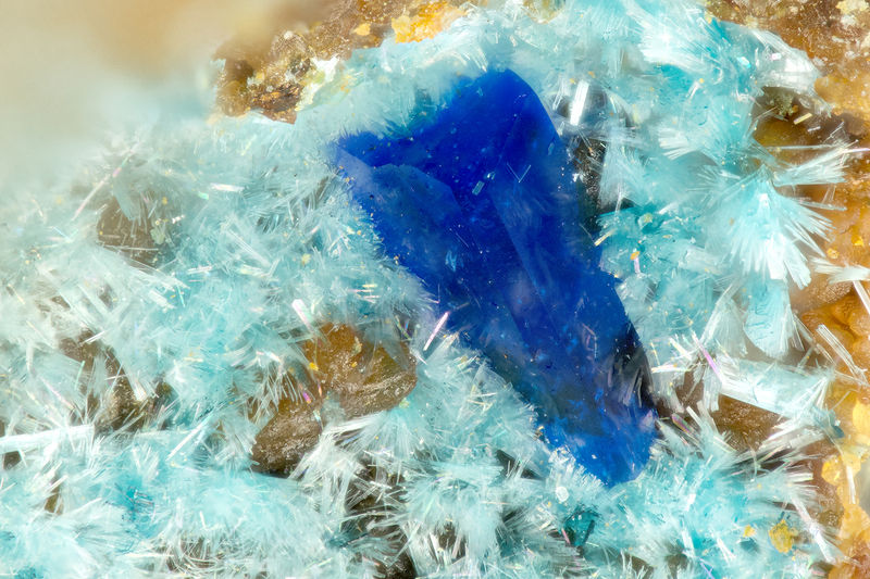 5052 linarite serpierite.jpg