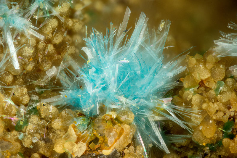 5079 serpierite.jpg