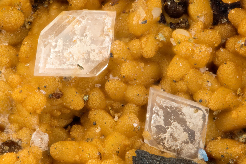 5088 gypsum.jpg