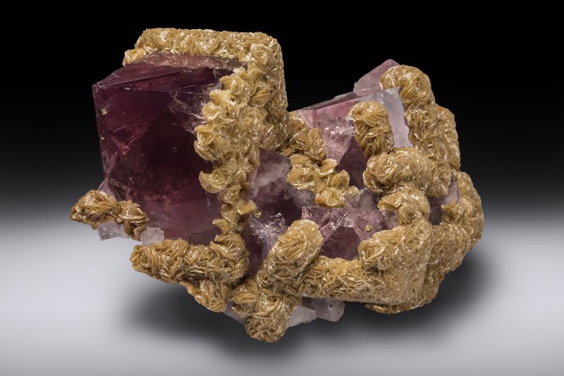 5199-Fluorite-Boltsburn Mine England-113mm-Spann-TSpann photo-IMG_4642.jpg