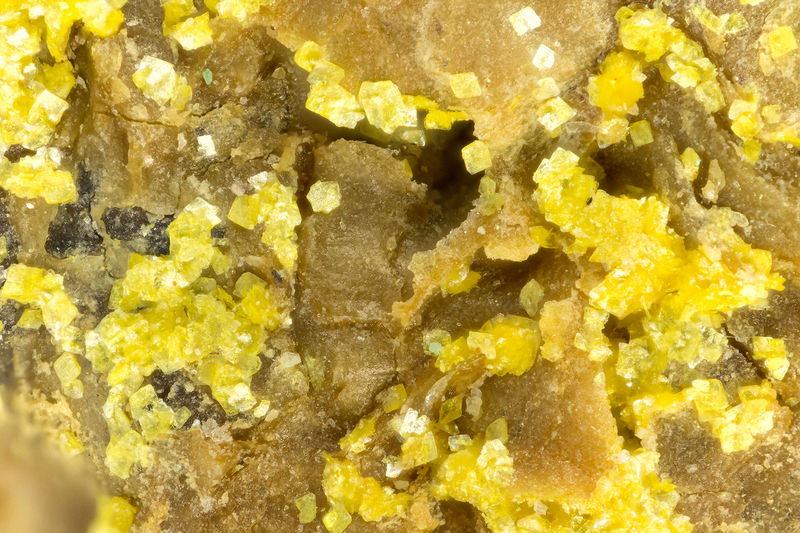 5242 carnotite.jpg