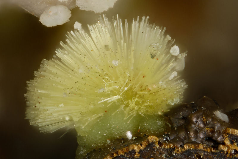 5253 meurigite-K.jpg