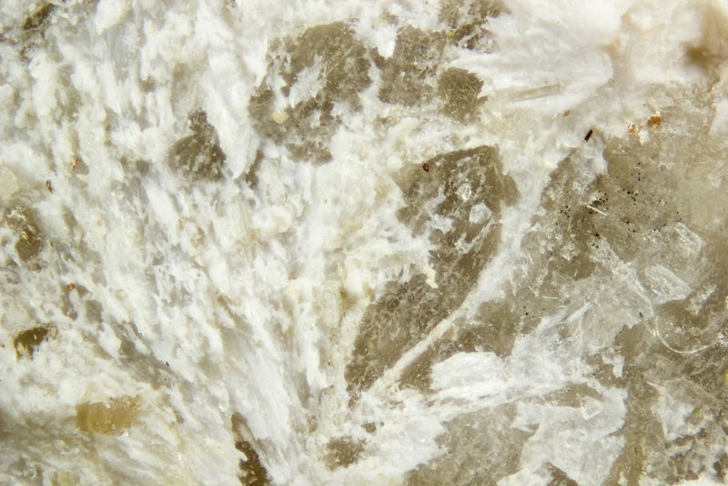 5331-lecoqite-(Y).jpg