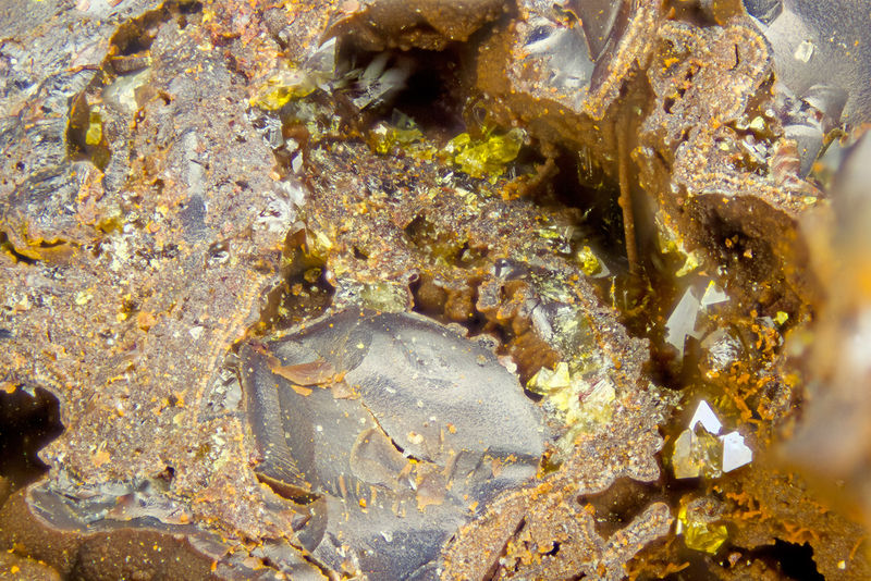 5380-segnitite.jpg