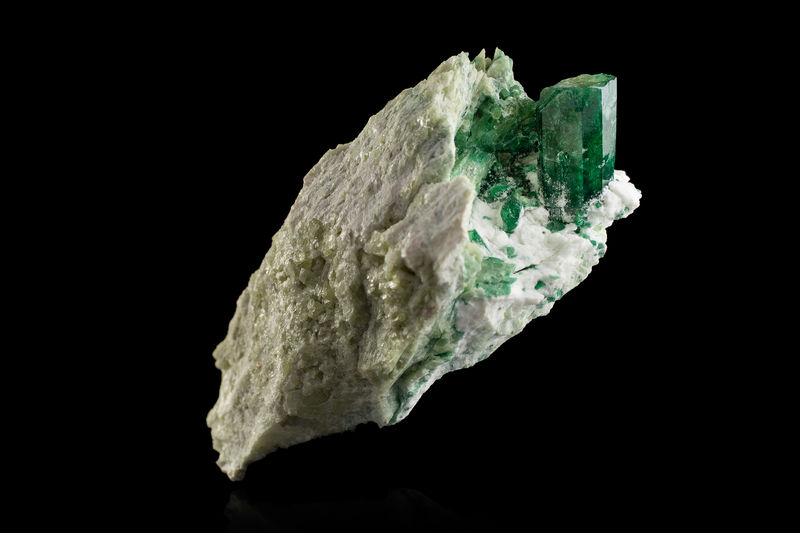 544.jpg
