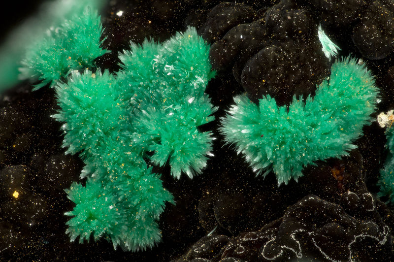 5540 malachite.jpg