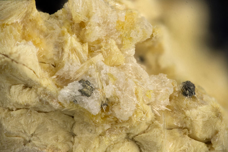 5664 carpholite.jpg