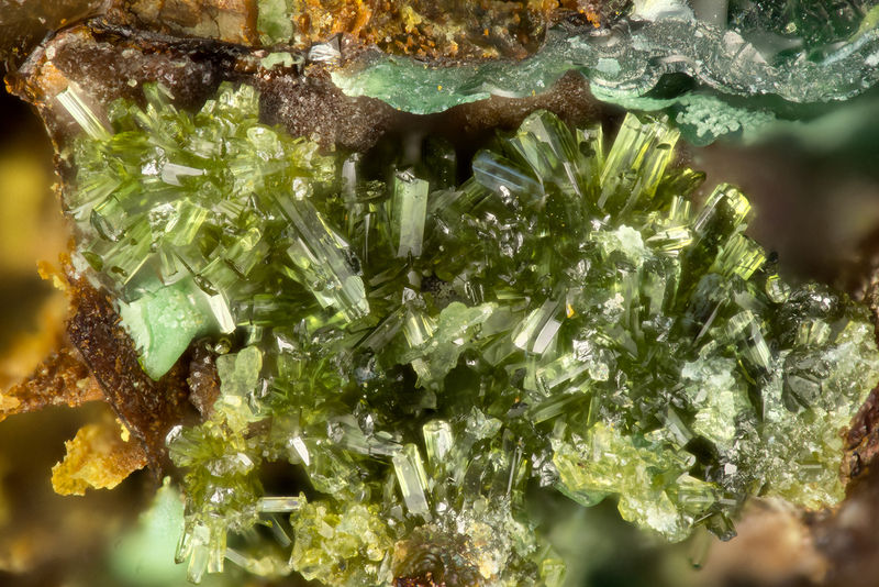 5685 olivenite.jpg