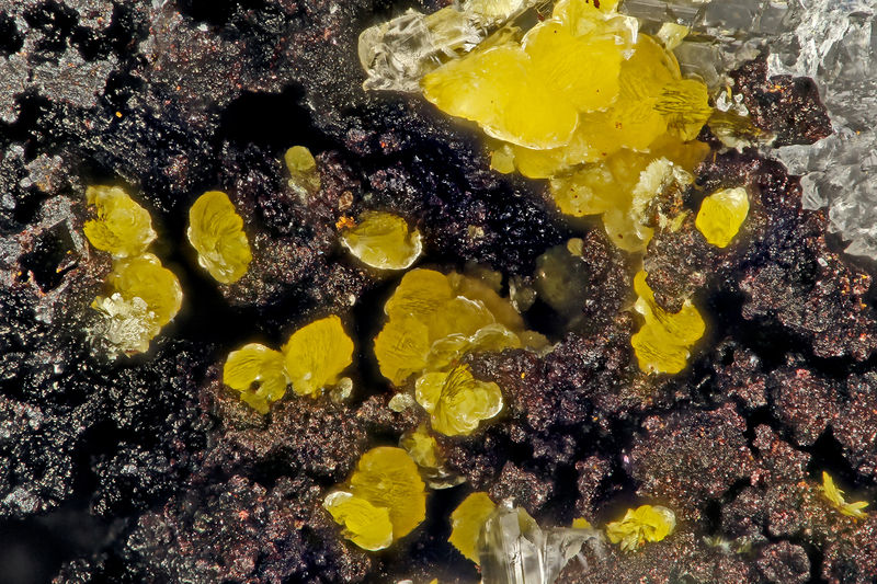 5854 descloizite.jpg