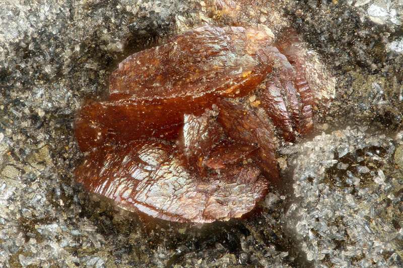 5882 siderite.jpg