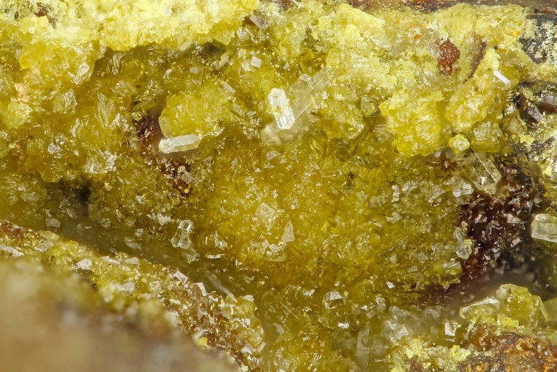 5905 segnitite.jpg