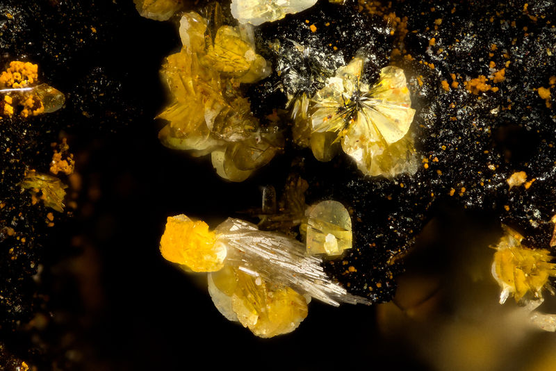 5937 descloizite.jpg