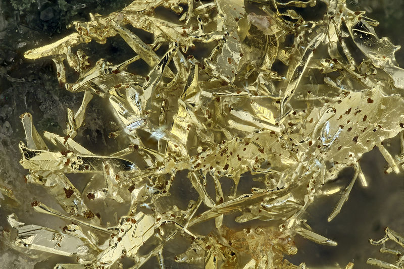 5992-gold.jpg