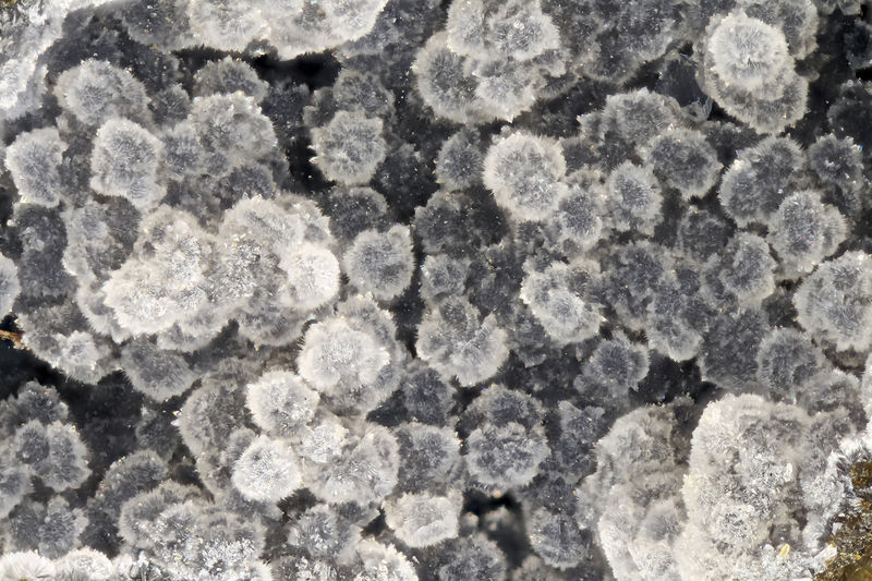 6215-cowlesite.jpg
