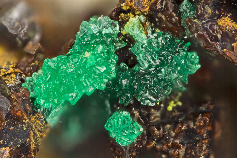 6382 tsumebite.jpg
