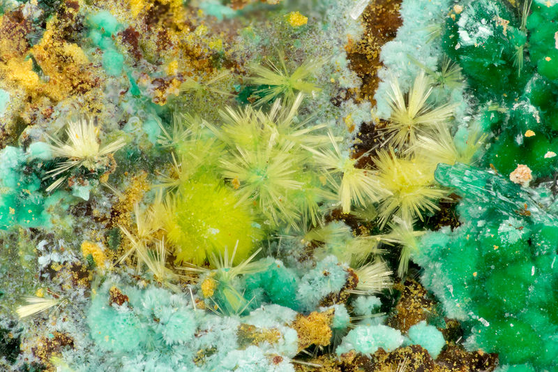 6481 phurcalite.jpg