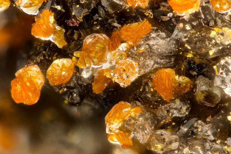 6484 descloizite.jpg