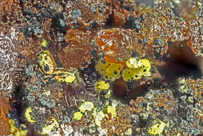 6663-meurigite-K.jpg