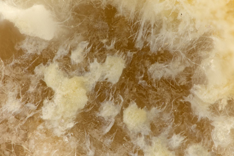6977 sepiolite.jpg