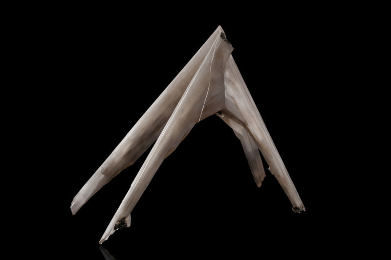 709.jpg