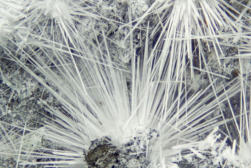7154-canavesite.jpg
