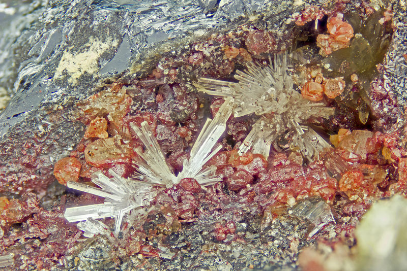 7161-klebelsbergite.jpg