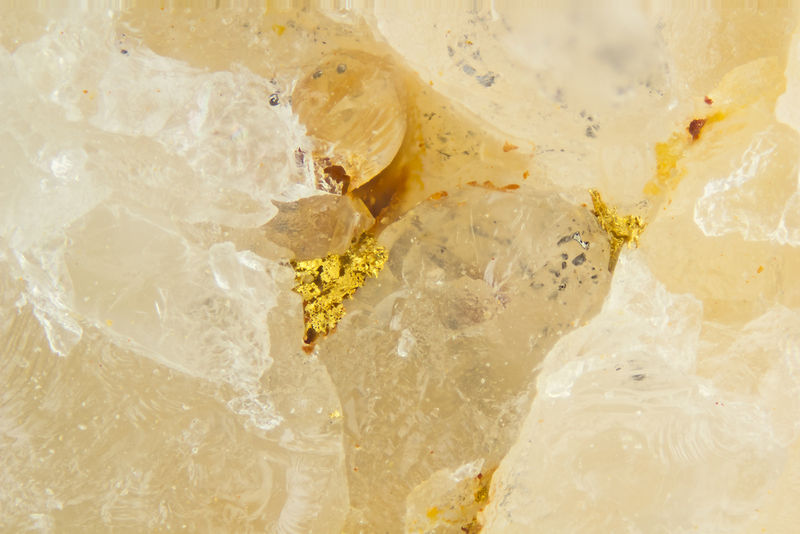 7171-gold.jpg
