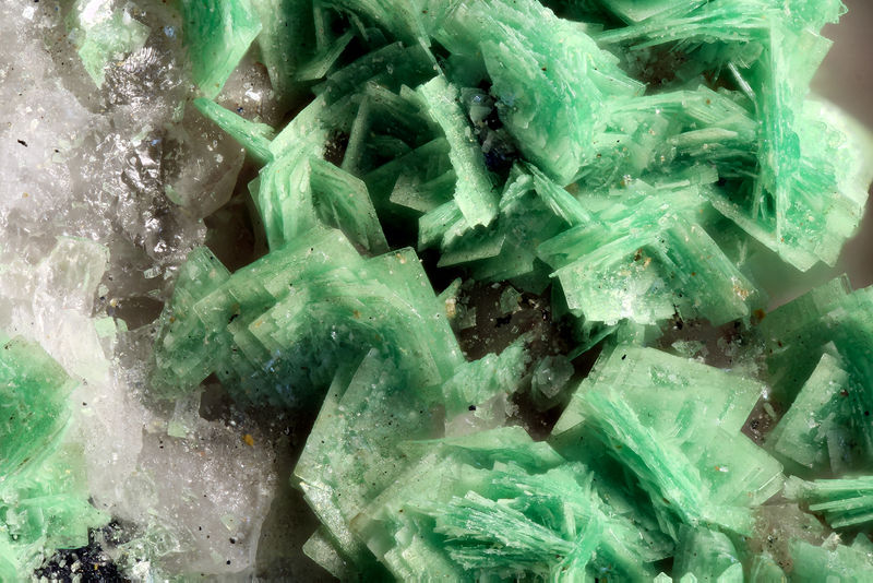 7300-torbernite.jpg