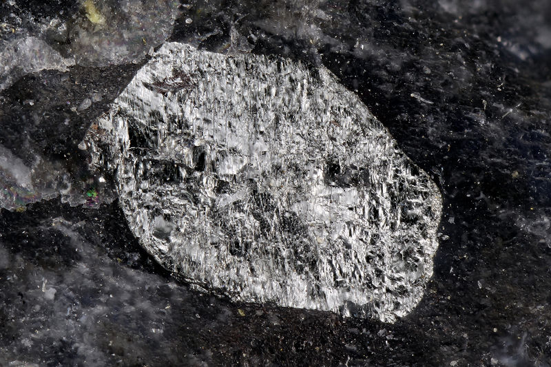 7324-parapierotite.jpg